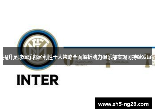 提升足球俱乐部盈利性十大策略全面解析助力俱乐部实现可持续发展